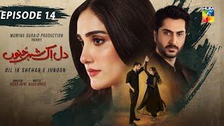 Dil Ik Shehar e Junoon - Episode 14 - 24th December 2024 - [ Aiza Awan & Alee Hassan Shah ] - HUM TV