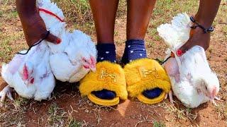 Lady Trampling Three Chicken