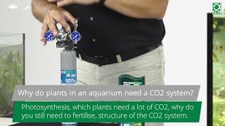 JBL TV #1: Why do plants need a CO2 system in the aquarium?