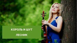 Король и Шут - Лесник (Violin cover) LIVE