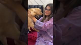 Areeb surprise iqra #song #music #sistrology #viralvedio #funny #shortfeed