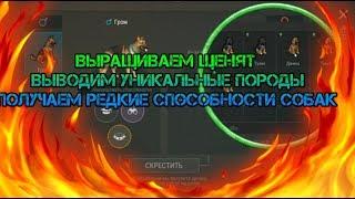 Выращиваем щенков, скрещиваем новые виды собак! Как вывести редкую породу пса! Last day on earth