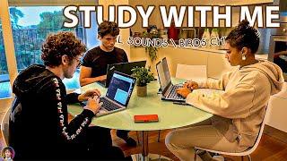 3 HOUR STUDY WITH ME | Friends, 10-min Break, Nature Sounds, Background Noise, Study Group