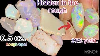 Andamooka opal: rough to cut.