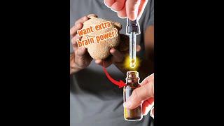 How to Make a Lion's Mane Tincture (super easy)