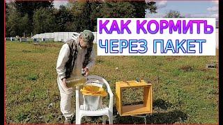  Как кормить пчел сахаром через пакет 