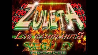 LOS CAMINANTES DE ZULETA MEGA MIX SEGU DJ PRODUCER