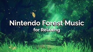 Forest | Relaxing Nintendo Playlist