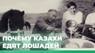 Почему казахи едят лошадей? Qazaq TV