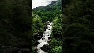 Beautiful Relaxing Piano Music : Meditation, Study, Yoga, Relaxation, Stress Relief and Sleep Music.