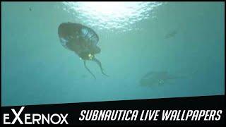 Subnautica Live Wallpaper FHD - Reefbacks