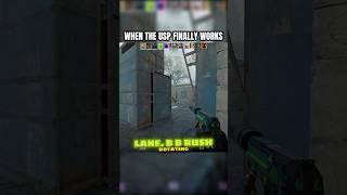 When the USP finally works #cs2 #counterstrike #cs2clips
