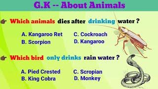 15. Most interesting gk about animal/Animal general knowledge in English/@https://youtube.com/@RSGK1