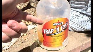 How To Kill Flies! Starbar Fly Trap Review - Trap 'n Toss Disposable Fly Trap