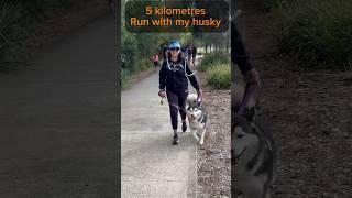 5 kilometres run with my Husky#life with  dog# done  right