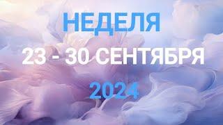 ТЕЛЕЦ . ДЕНЕЖНЫЕ ВОПРОСЫ. НЕДЕЛЯ 23-30 СЕНТЯБРЯ 2024. Таро прогноз.