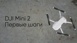 Учусь снимать и монтировать с дрона. DJI Mini 2. День 2.