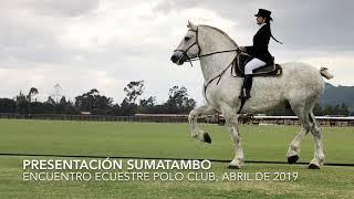 Presentación de Sumatambo durante el encuentroecuestre en el Polo Club, Marzo 2019