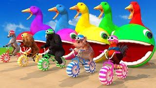 5 Giant Duck Chicken Mouse Lion Zebra Monkey Car Ride Big Wheels Saved By Woolly Robot Pacman Monkey