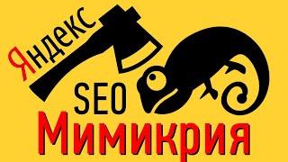 Новый SEO фильтр Яндекса 2022, SEO продвижение сайта в Яндексе