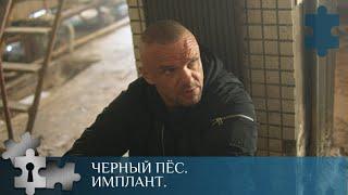 ПО МОТИВАМ РОМАНОВ Н. ЧЕРГИНЦА О МАЙОРЕ СПЕЦНАЗА А. РУБЦОВЕ | ЧЕРНЫЙ ПЁС. ИМПЛАНТ |