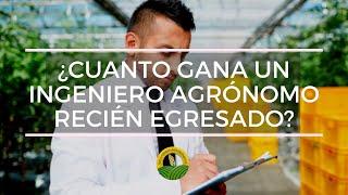 ¿ Cuanto gana un Ingeniero Agrónomo recién egresado?