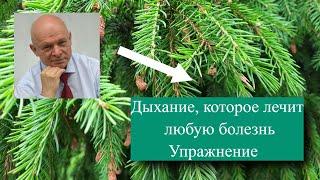 Дыхание, которое лечит любую болезнь. Упражнение.