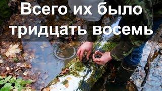 Всего их было тридцать восемь