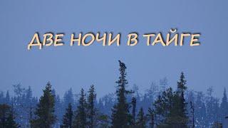 ДВЕ НОЧИ В ТАЙГЕ. ПРОБИВАЮСЬ НА ОЗЕРО. РЫБАЛКА.