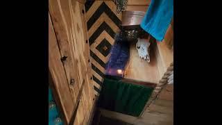 AMAZING CRAFTSMANSHIP in this skoolie walkthrough!! Fully off grid! Comfy travels for family of 5!!