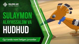 20. Sulaymon alayhissalom va Hudhud (1-qism) | Qur'onda nomi kelgan jonzotlar