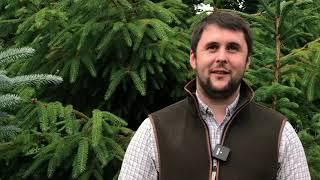 Meet Tom Atkinson from the Viking Arms Sporting Team