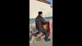 This is a good idea.# Hua Zi Couple#Daily Laughs