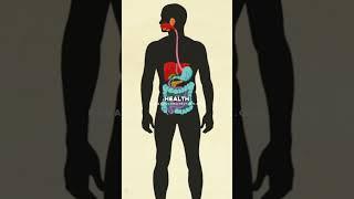 Learn the amazing benefits of Burdock Root and why its in the SBB Formula.