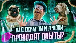 НАД ОСКАРОМ И ДЖОНИ ПРОВОДЯТ ОПЫТЫ?