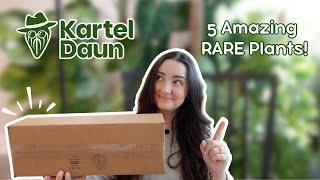 Surprise Unboxing From Kartel Daun! 5 Plants, Hoya & Anthurium 