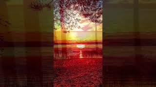 J.S.Bach -Concerto No.1 In A Minor For Violin And String Orchestra BWV 1041.I.Allegro Moderato