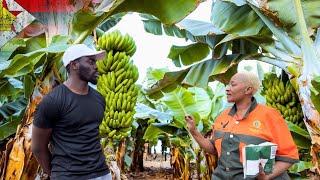 How she Left the UK, to Start Banana farming Business in Zimbabwe