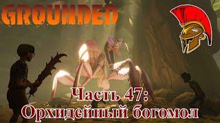 Прохождение Grounded – Часть 47: Орхидейный богомол