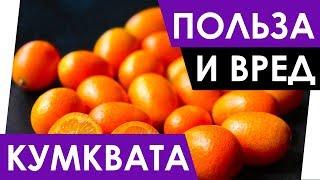 Кумкват - Польза и вред. Полезные свойства кумквата. Чем полезен?