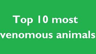 Top 10 most venomous animals | Curiosity Caboodle