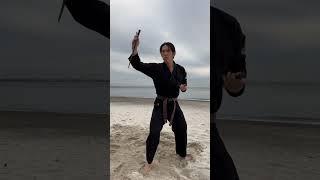 Sai practice on the beach | Ryukyu Kobudo, Japanese Martial arts #shorts