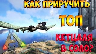 КАК ПРИРУЧИТЬ ТОП КЕТЦАЛЯ В СОЛО? (МЕТОД ЛОВУШКИ) ► Ark: Survival Evolved #7