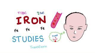 Iron Studies - Serum Fe, TIBC, ferritin & Transferrin  % Saturation