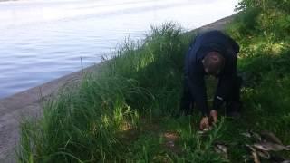 рыбалка закончилась хорошим уловом Г. Воронеж. Водохранилище