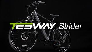 Tesway Strider | Urban Commuting High-Step E-bike