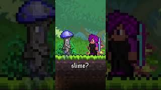 Terraria Items I Never Understood...