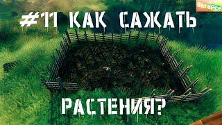 Valheim КАК САЖАТЬ РАСТЕНИЯ?