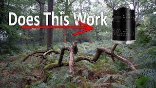 Wide Angle in the Woods - Does it Work? TTartisan 21mm f1.2 - Landscape Photography