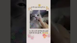 pahli bar baat Hui thi️#like#funnycartoo#funny#cartton #comedycartoon #cat#lovecats#subscribe